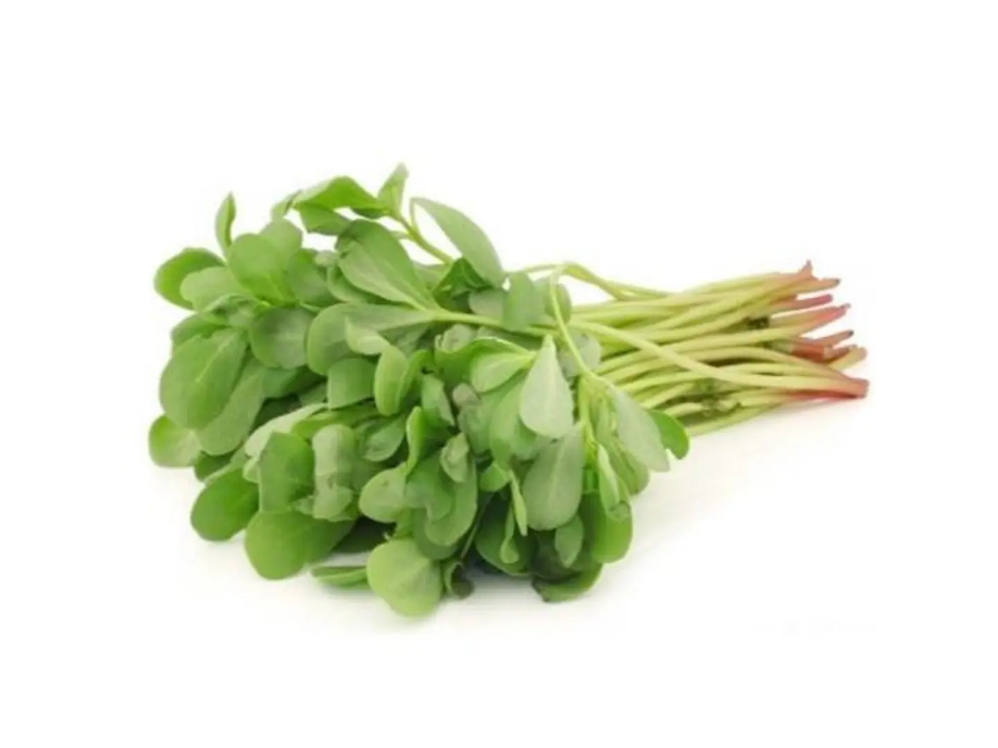 رجلة