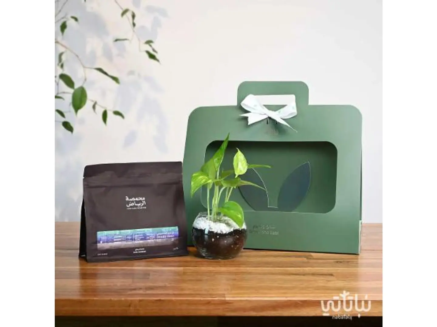 Pothos Shemisi Coffee Gift