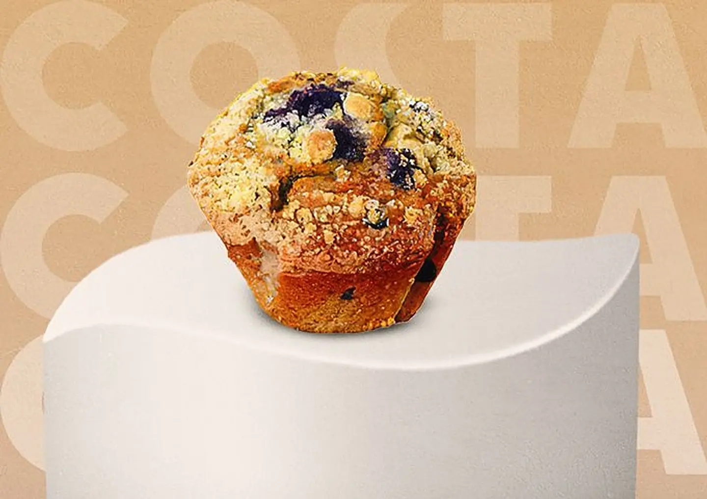 Low Fat Blueberry Muffin