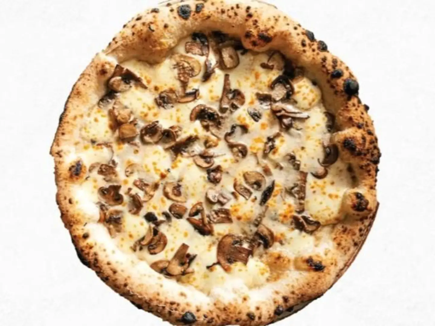 Mushroom And Truffle Pizza