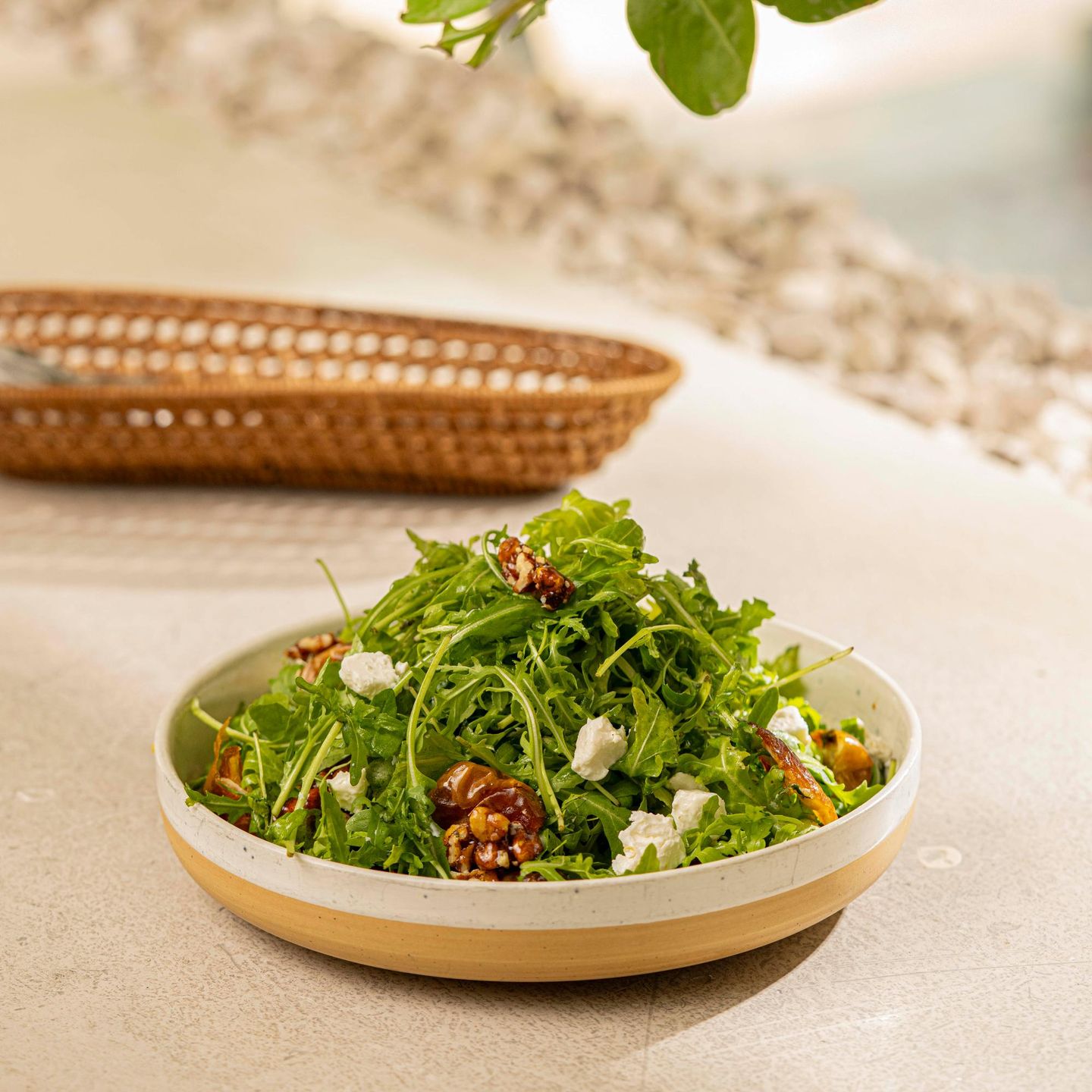 Rocket Salad