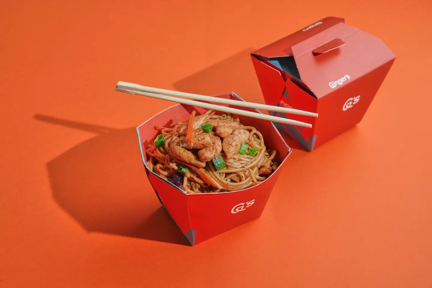 Chicken Noodles