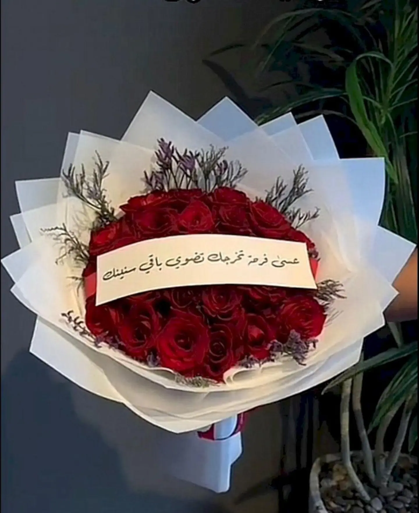 بوكيه احمر شريط حسب الطلب