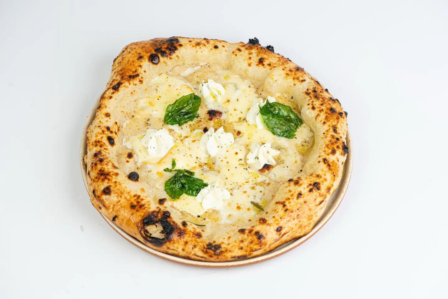 Five Cheese Pizza