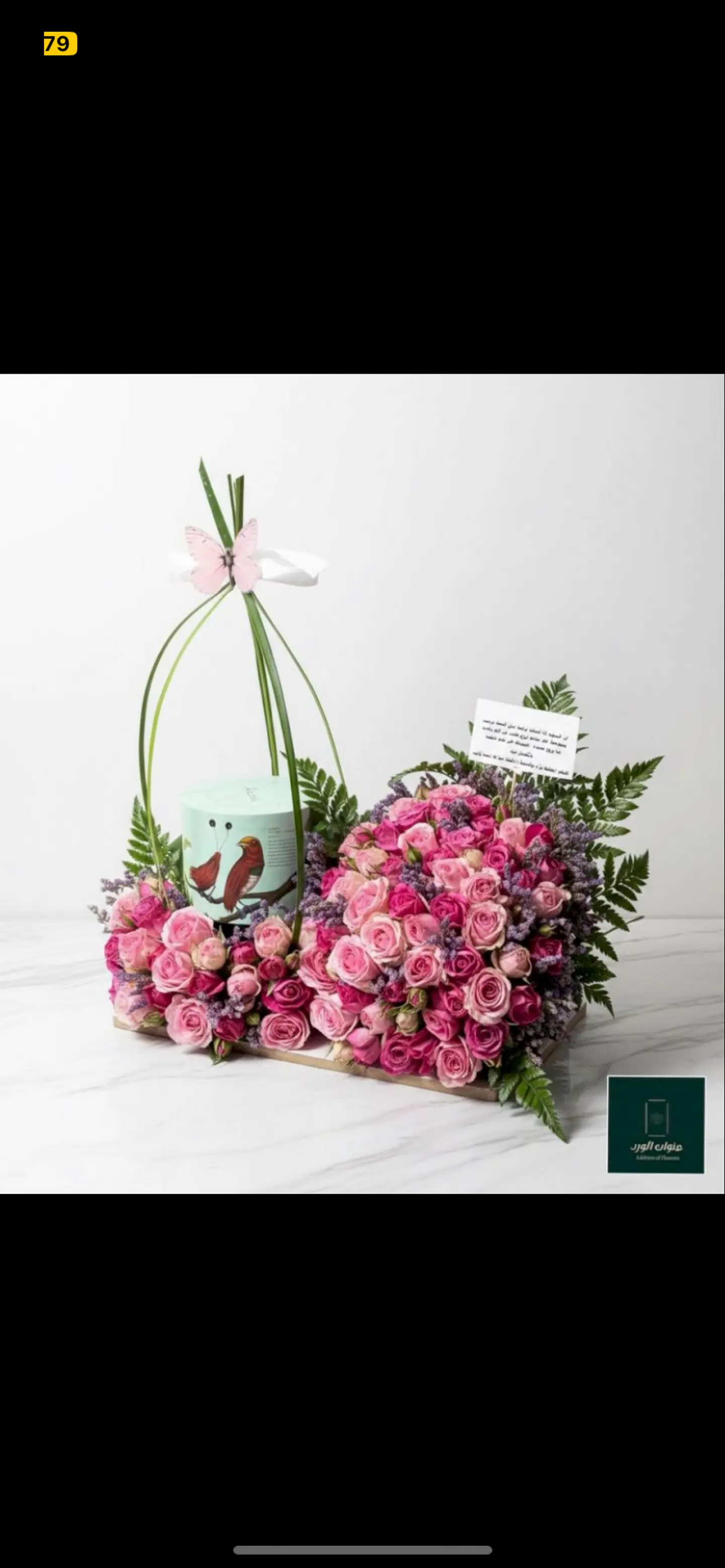 انوش مع ورد بيبي روز 711