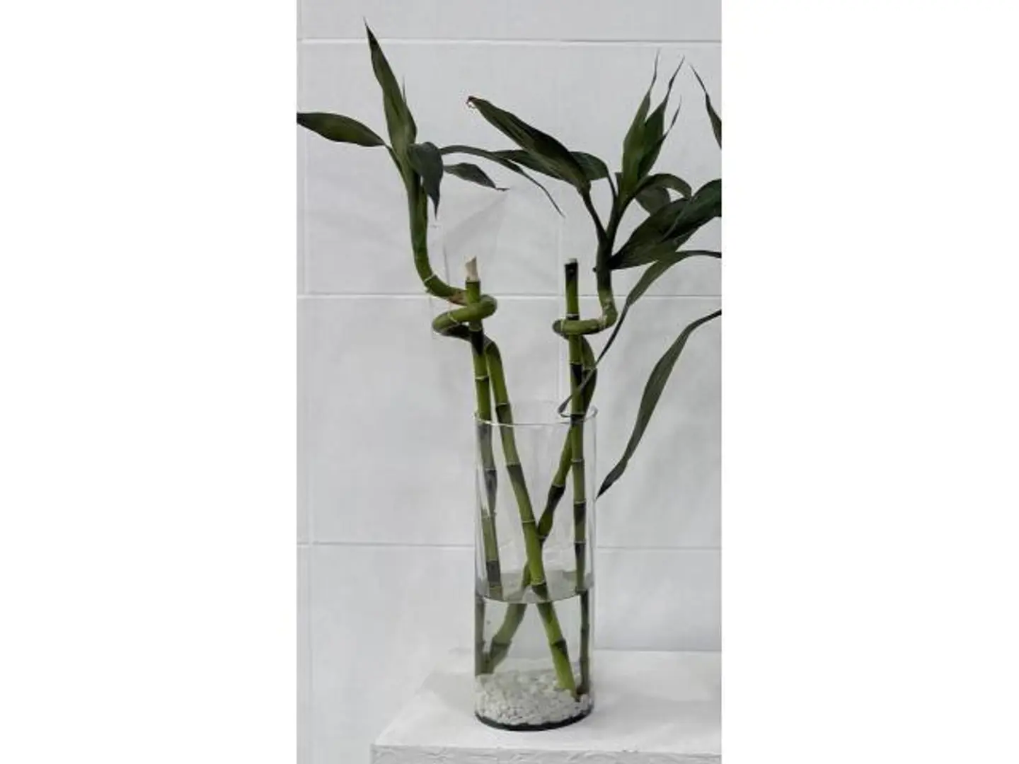 Bambo Stem Vase