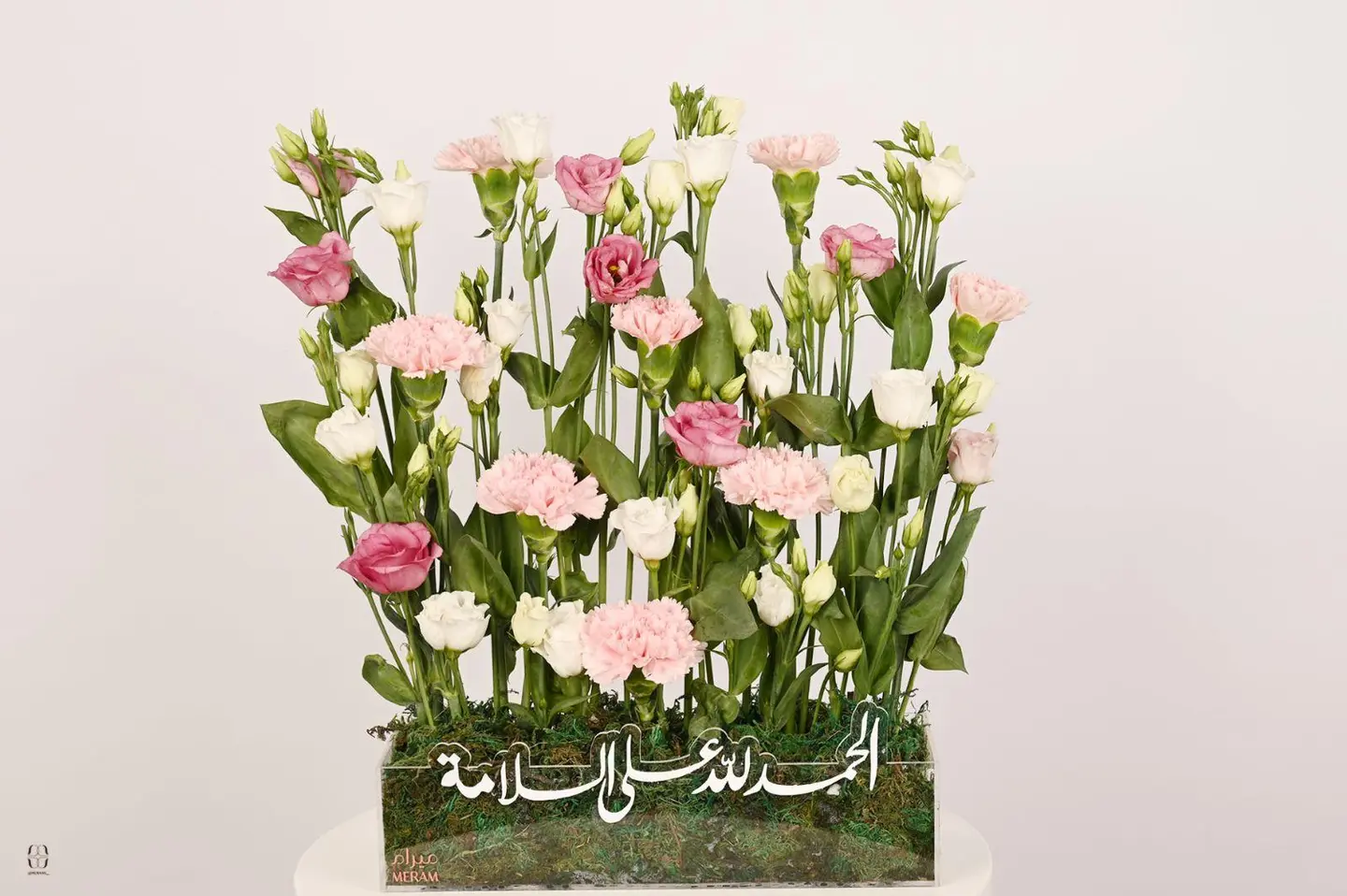 تقديمه الحمدلله على السلامه
