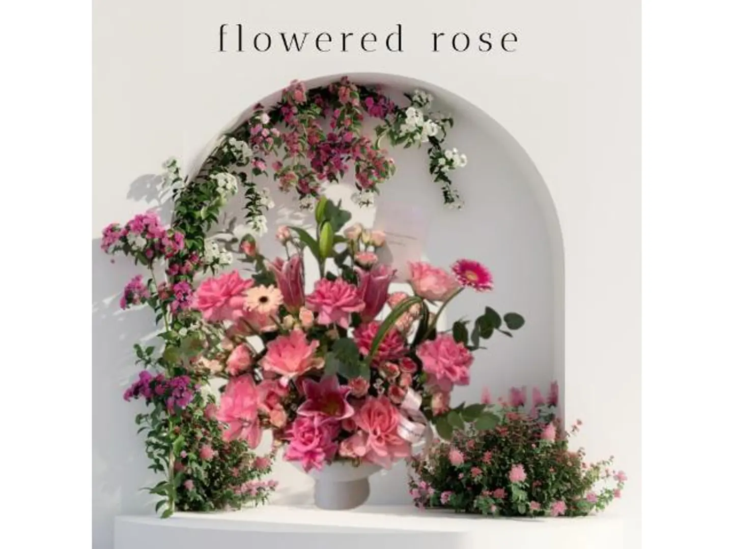 فازه البنك الناعم