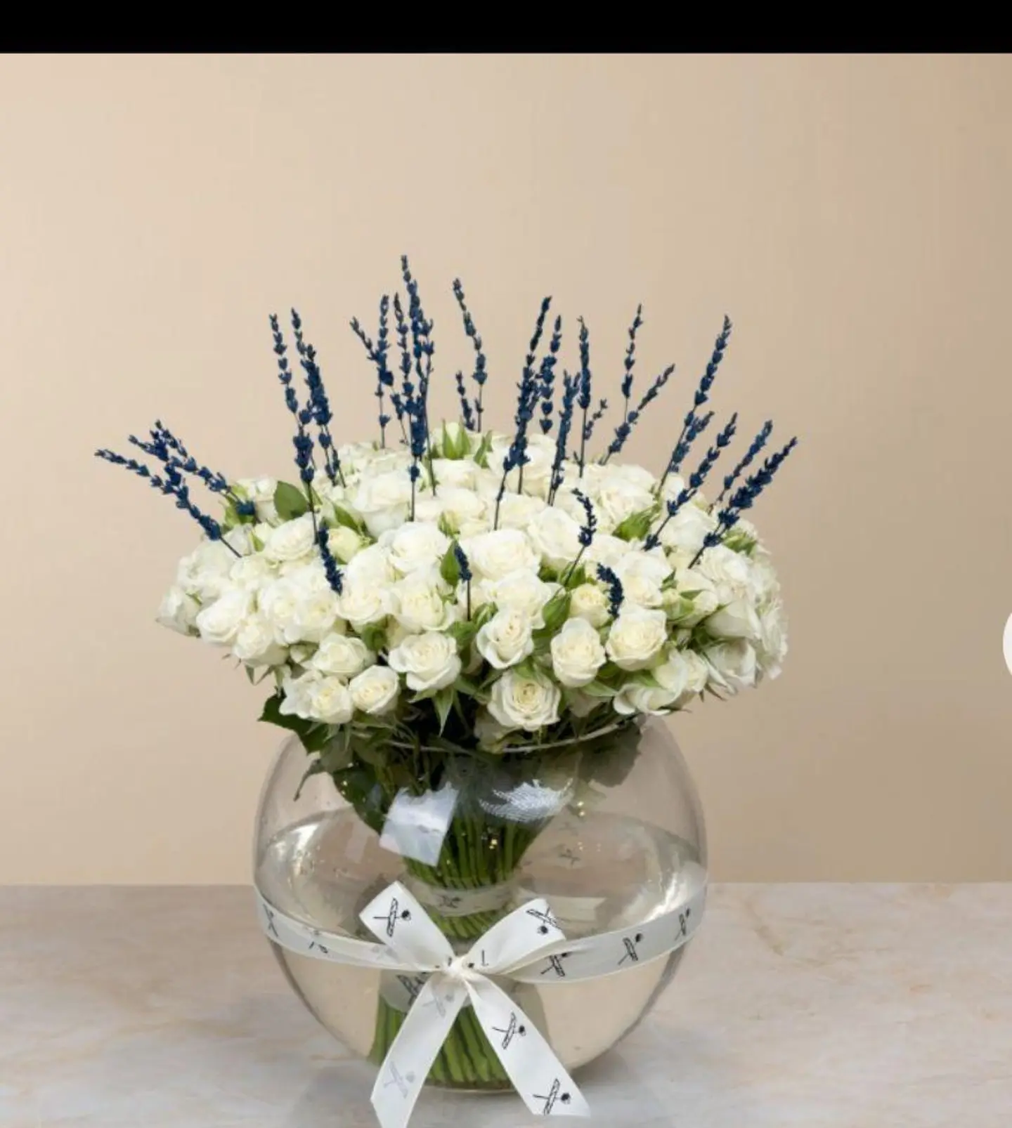 Purity Vase
