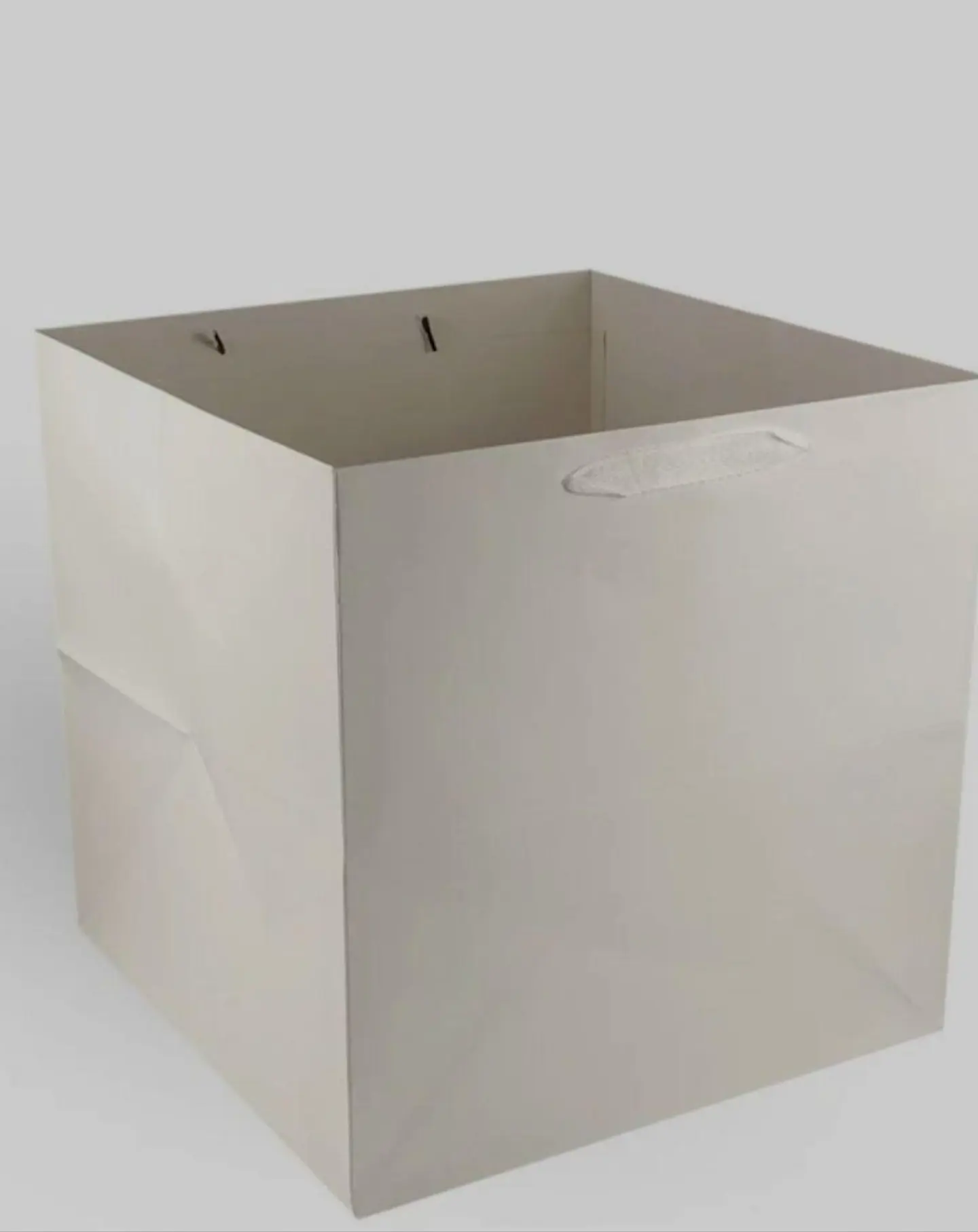 كيس هدايا حجم كبير ا