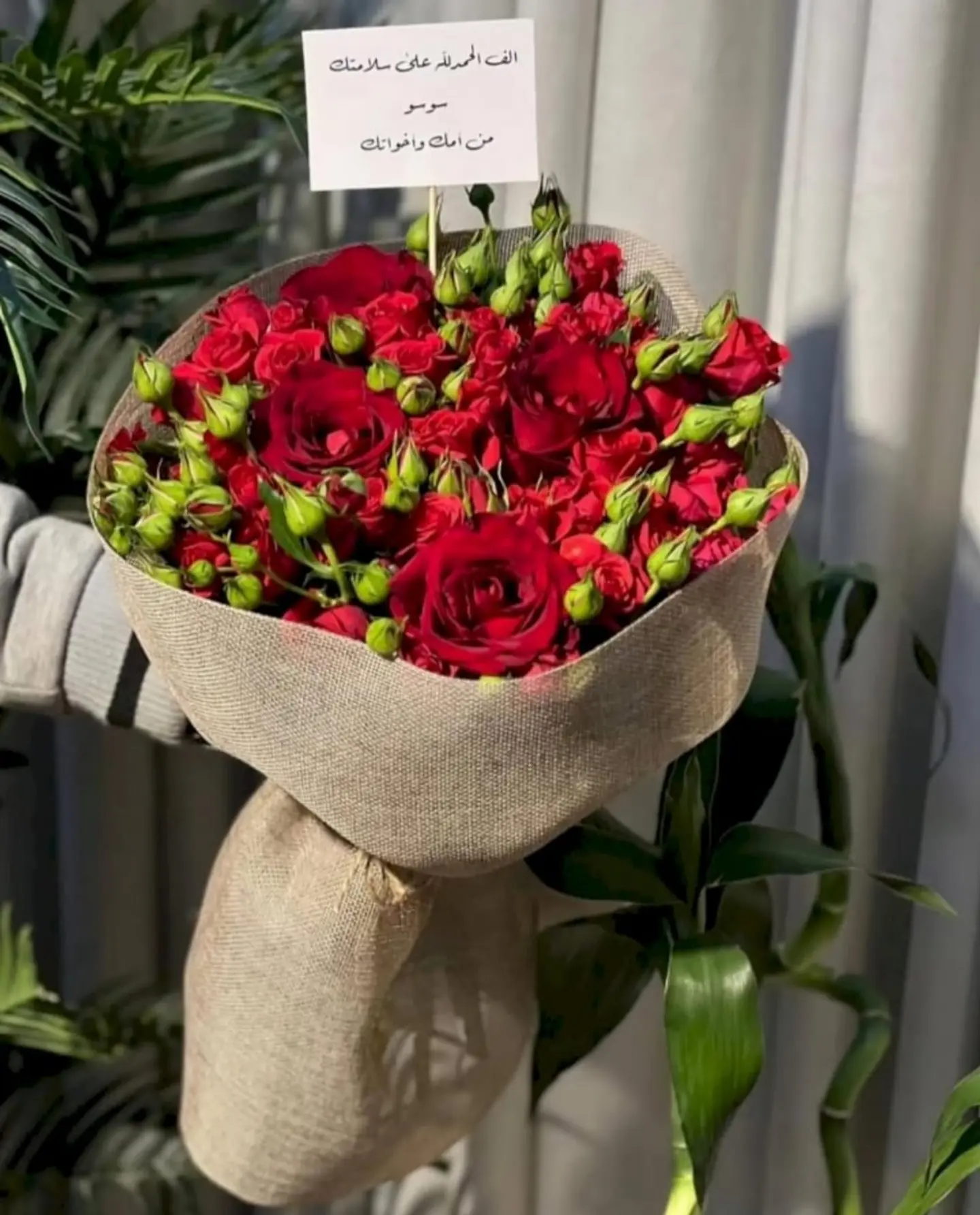 بوكية الحب 1