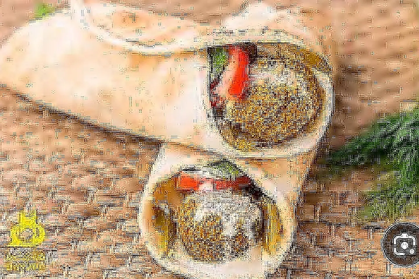 فلافل مع بيض بالخبز اللبناني