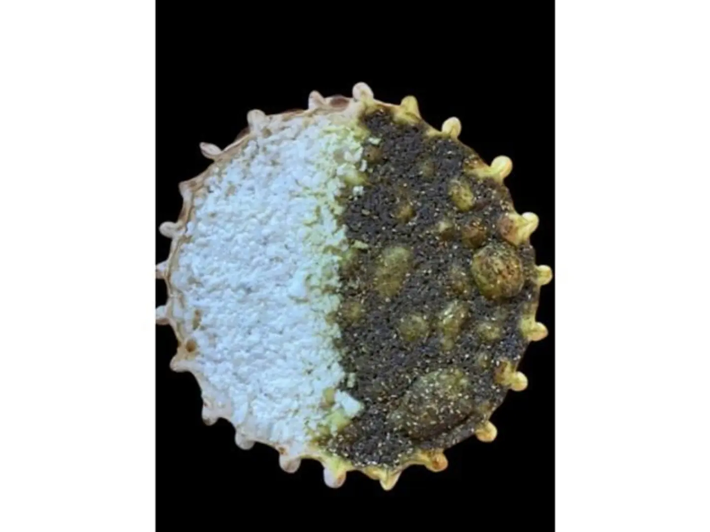 Thyme With Akkawi Cheese