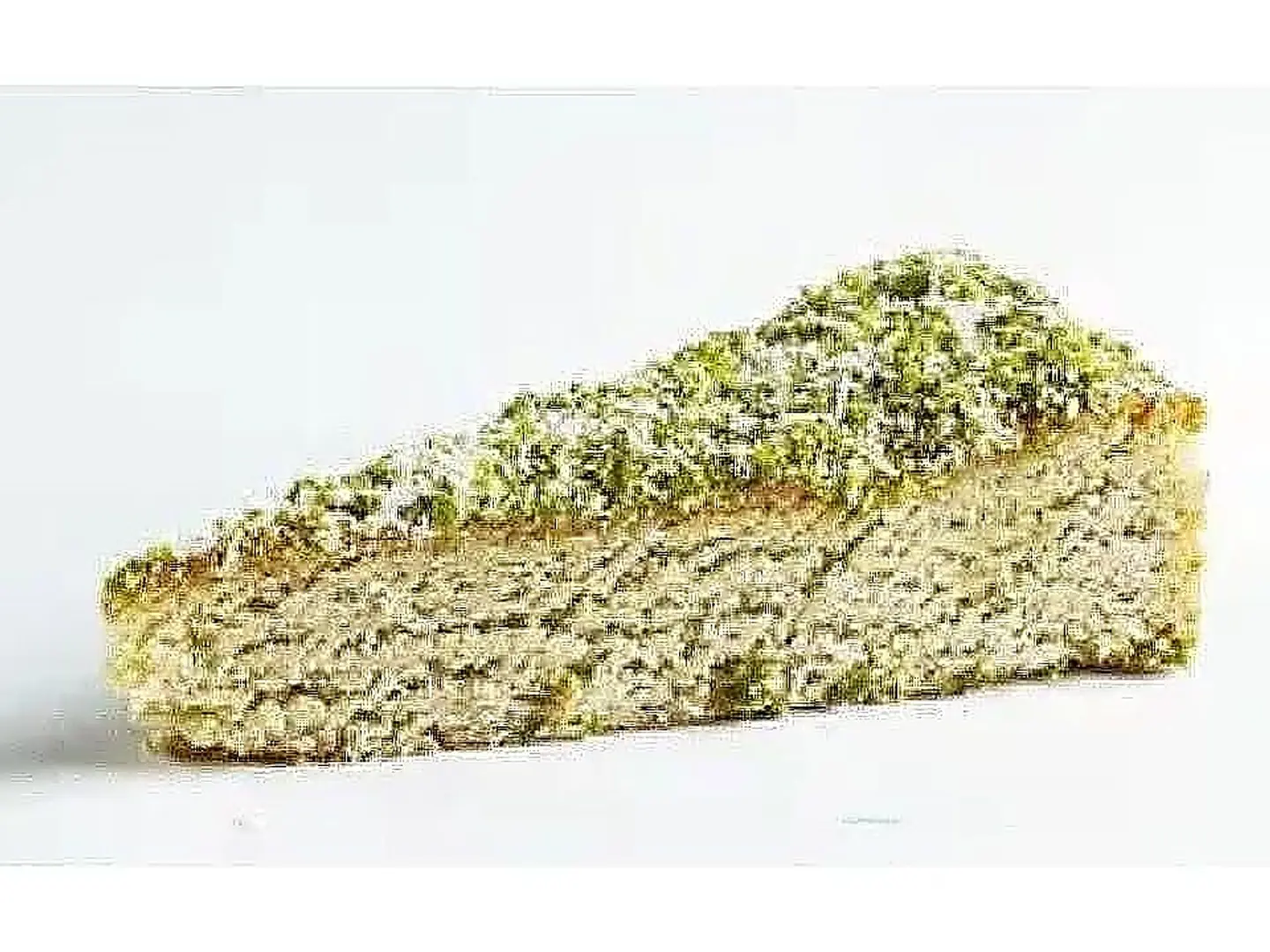 Coconut Cake