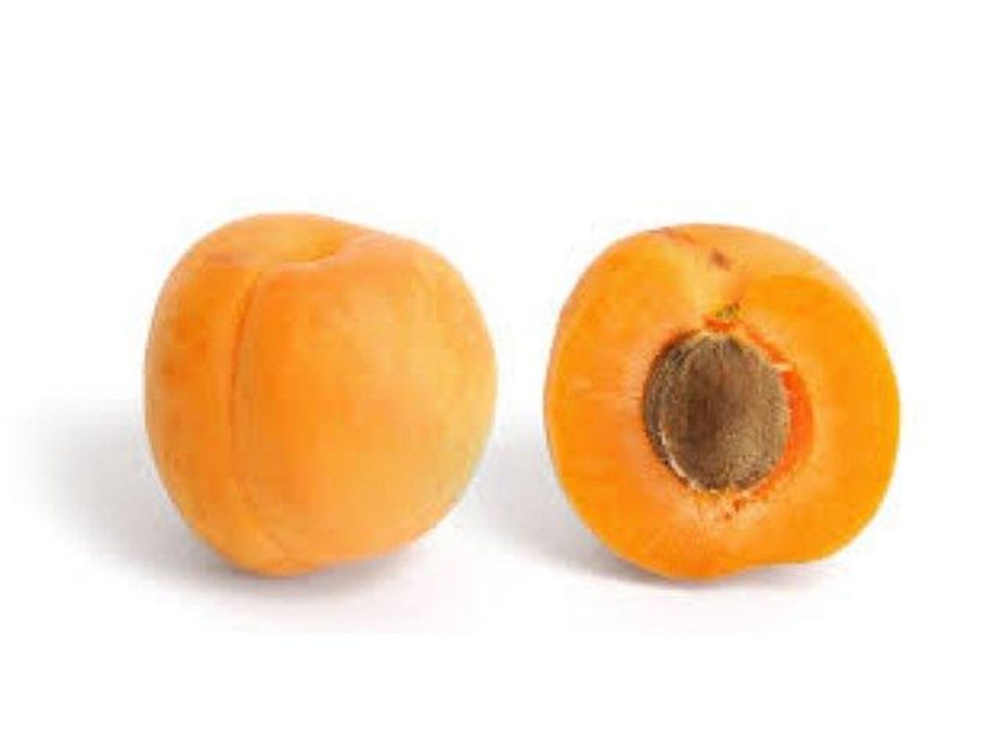Apricot