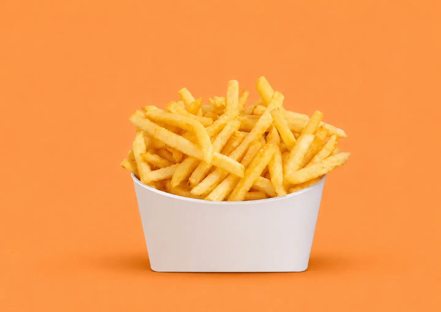 Regular Fries