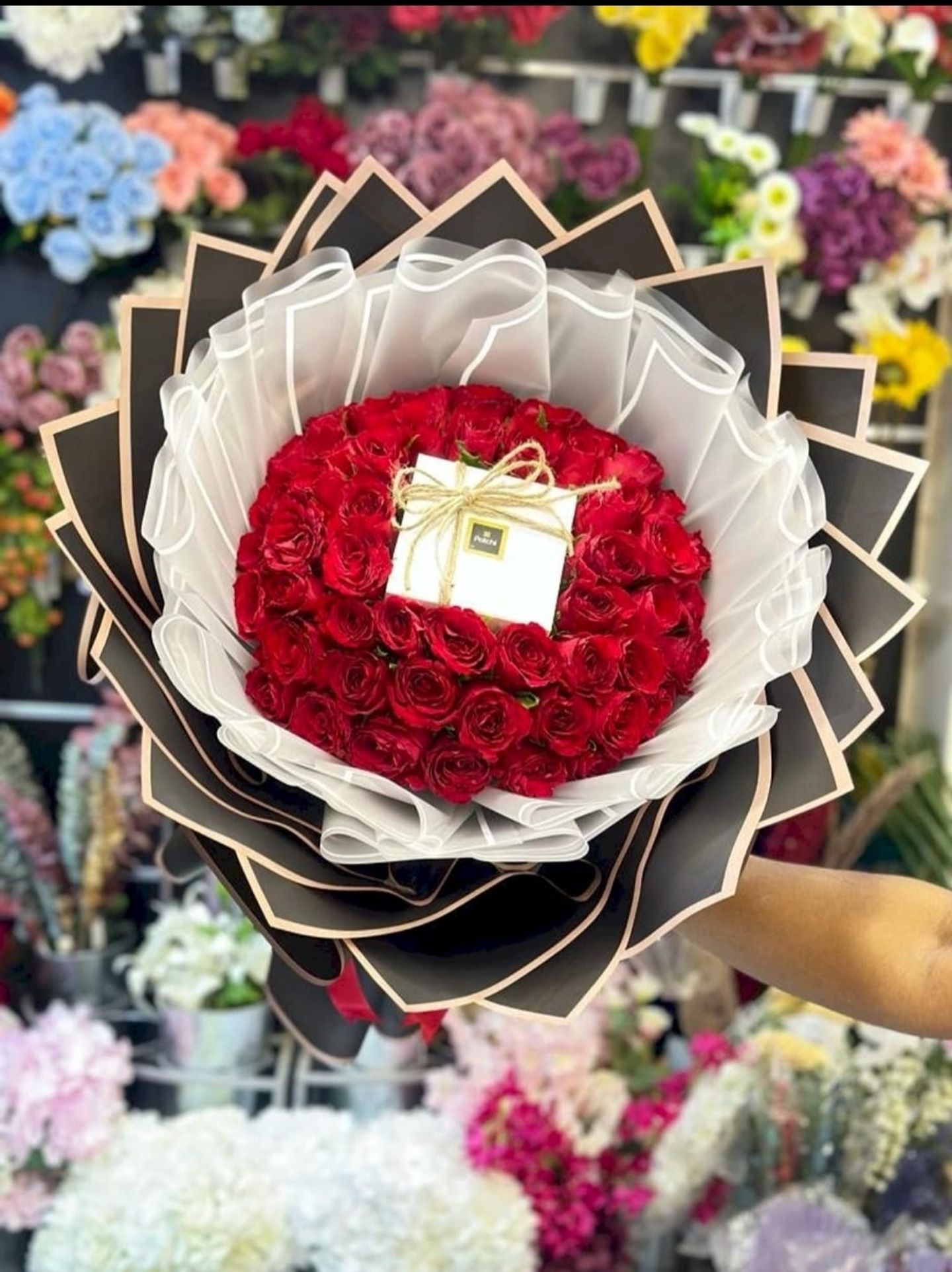 بوكية ورد باتشي 99