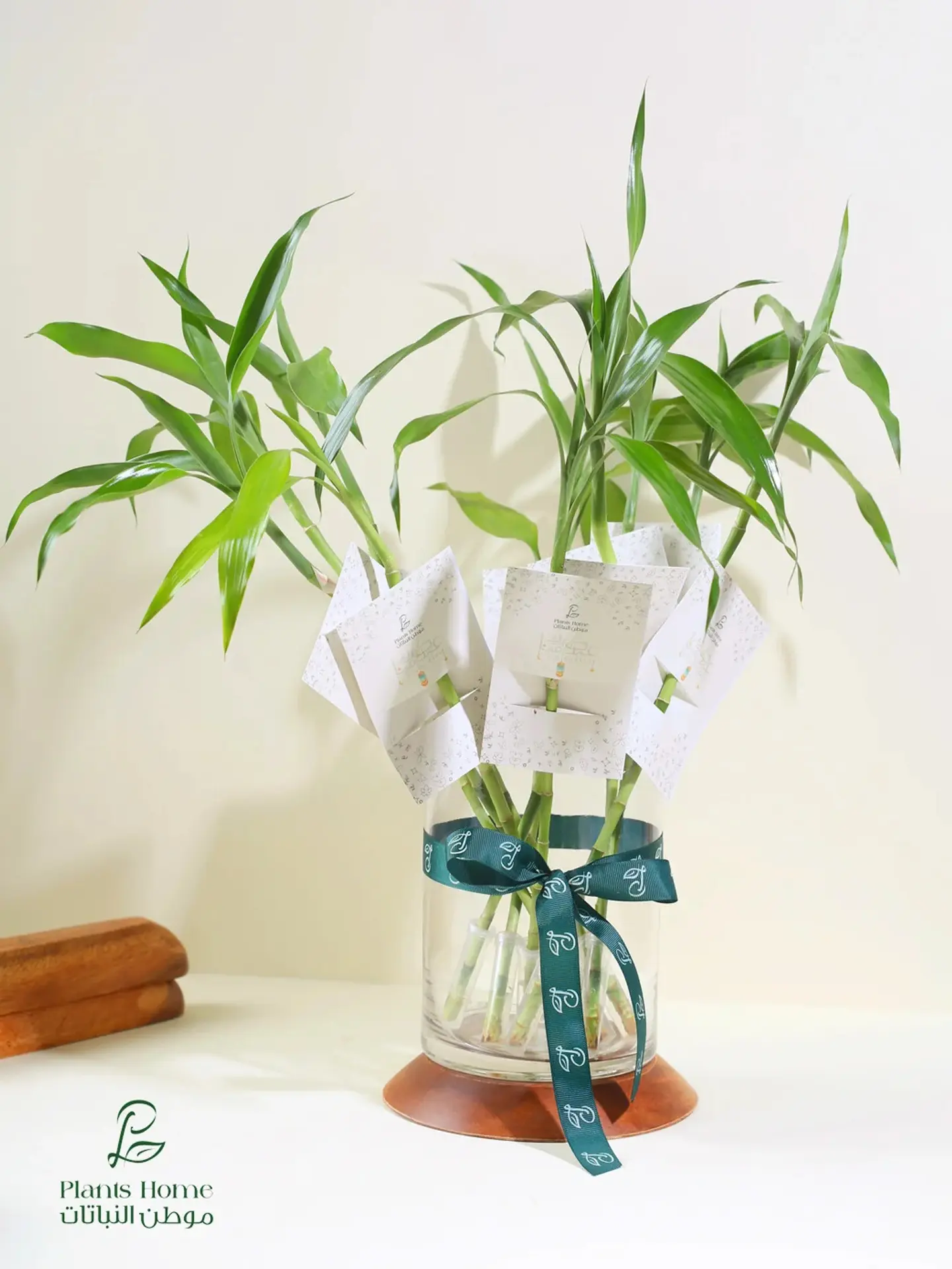 Special Occasion Favors – 6 Bamboo Stems With “Eid Mubarak” Tags & Luxury Glass Vase