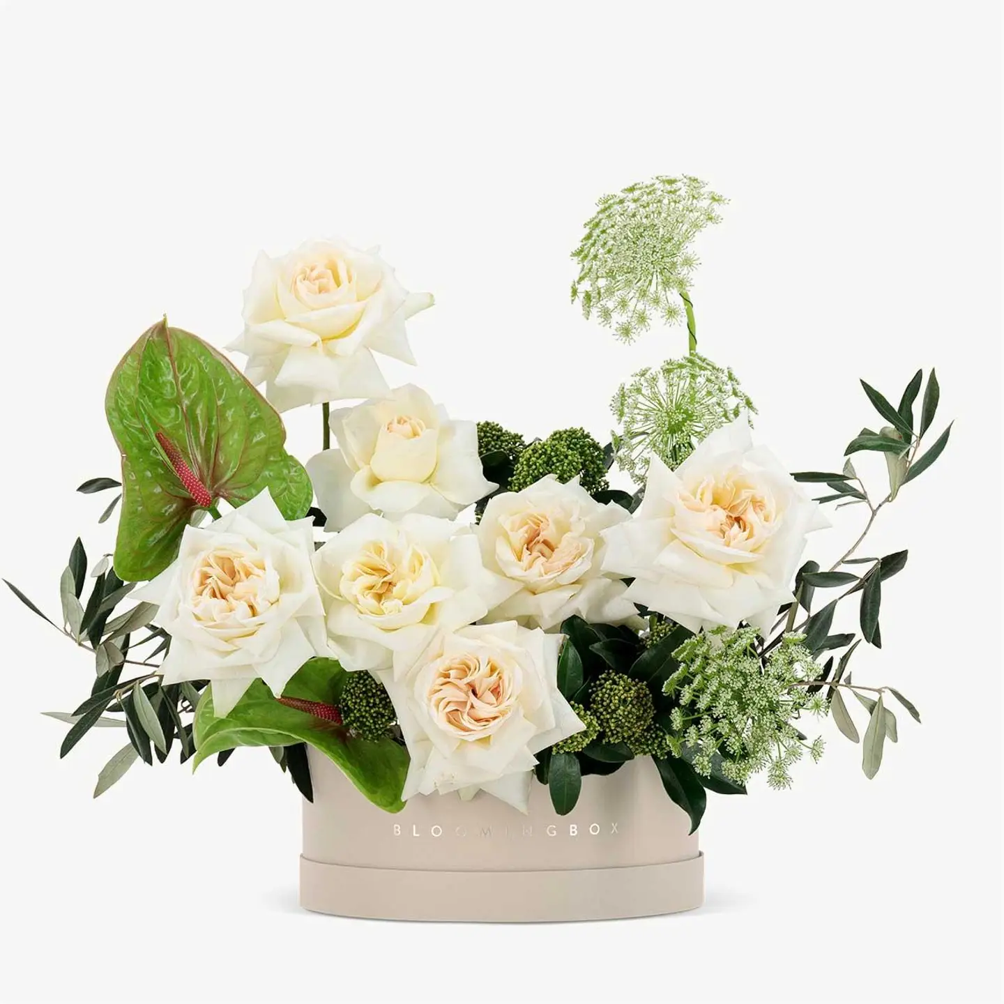 تشكيلة المساء القصيرة