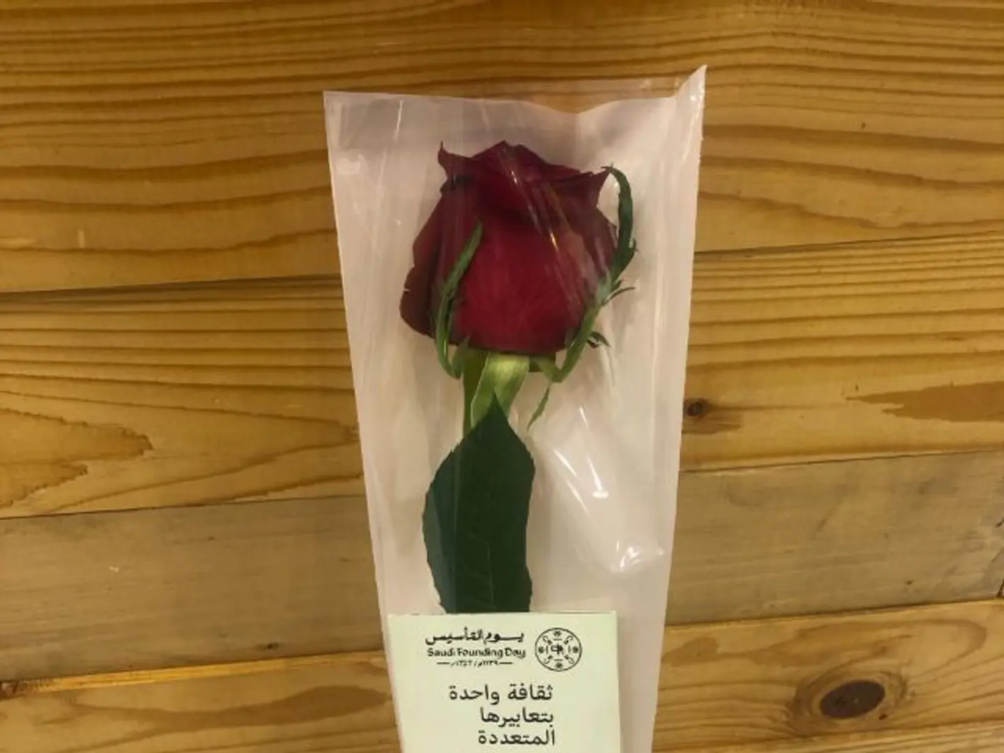 Rose Foundation Day 8