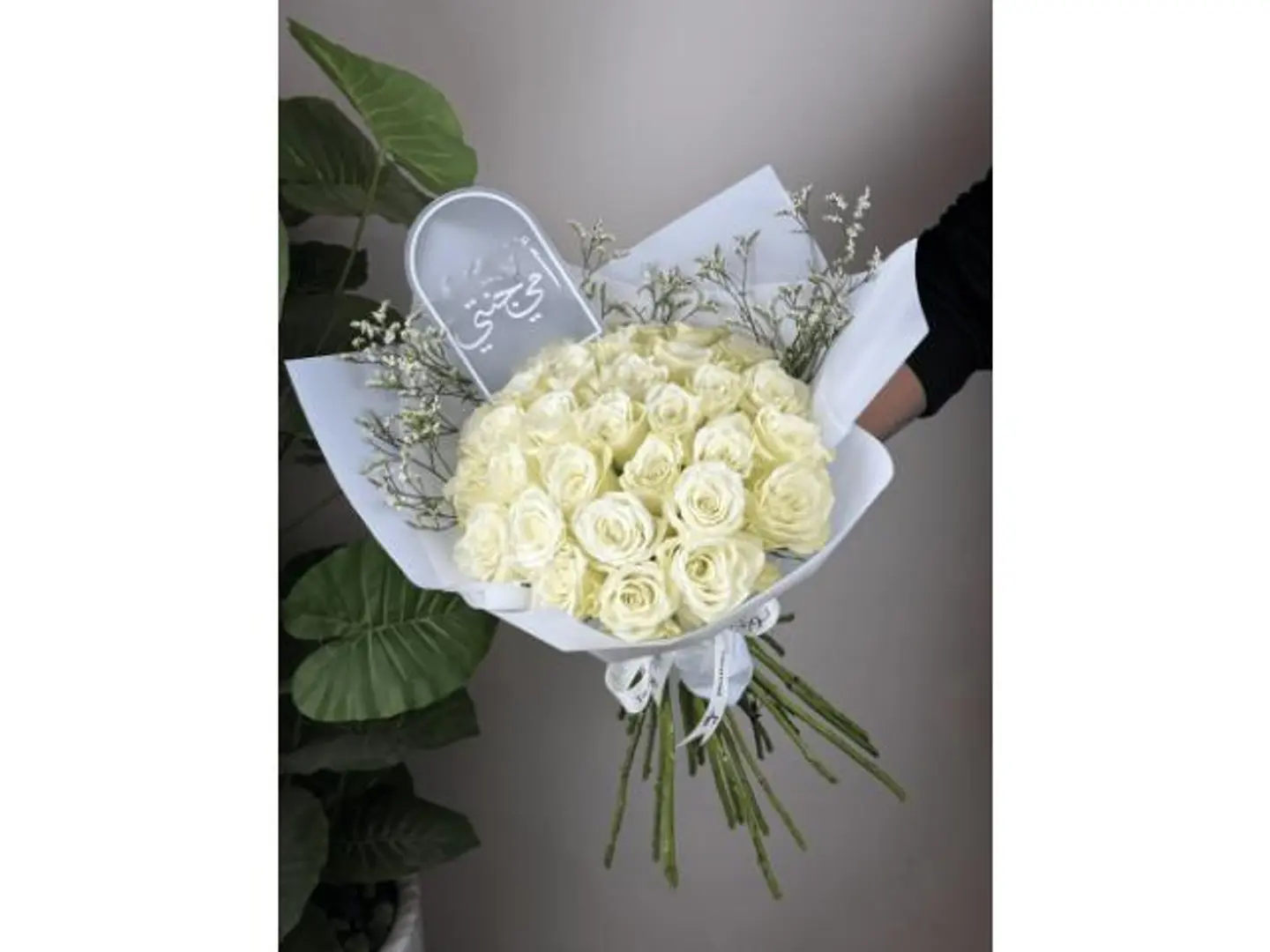 White Rose Bouquet With A Plant
