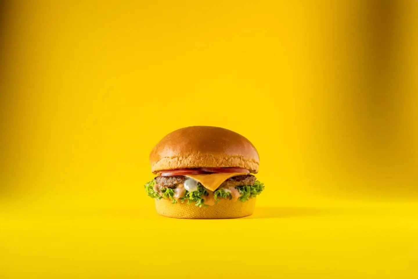 Single Chicken Burger