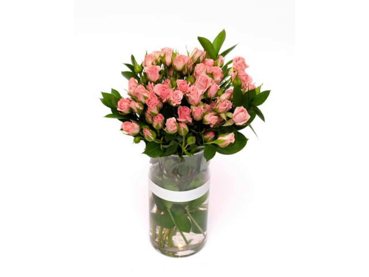 فازة الراقي