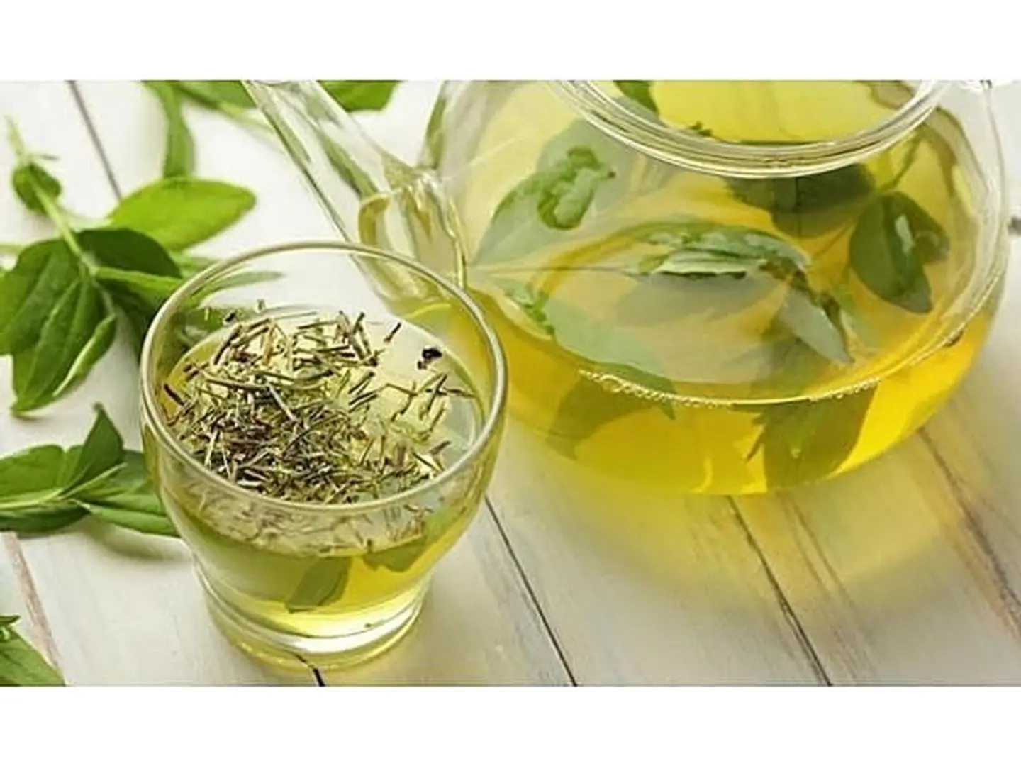 Anise Tea