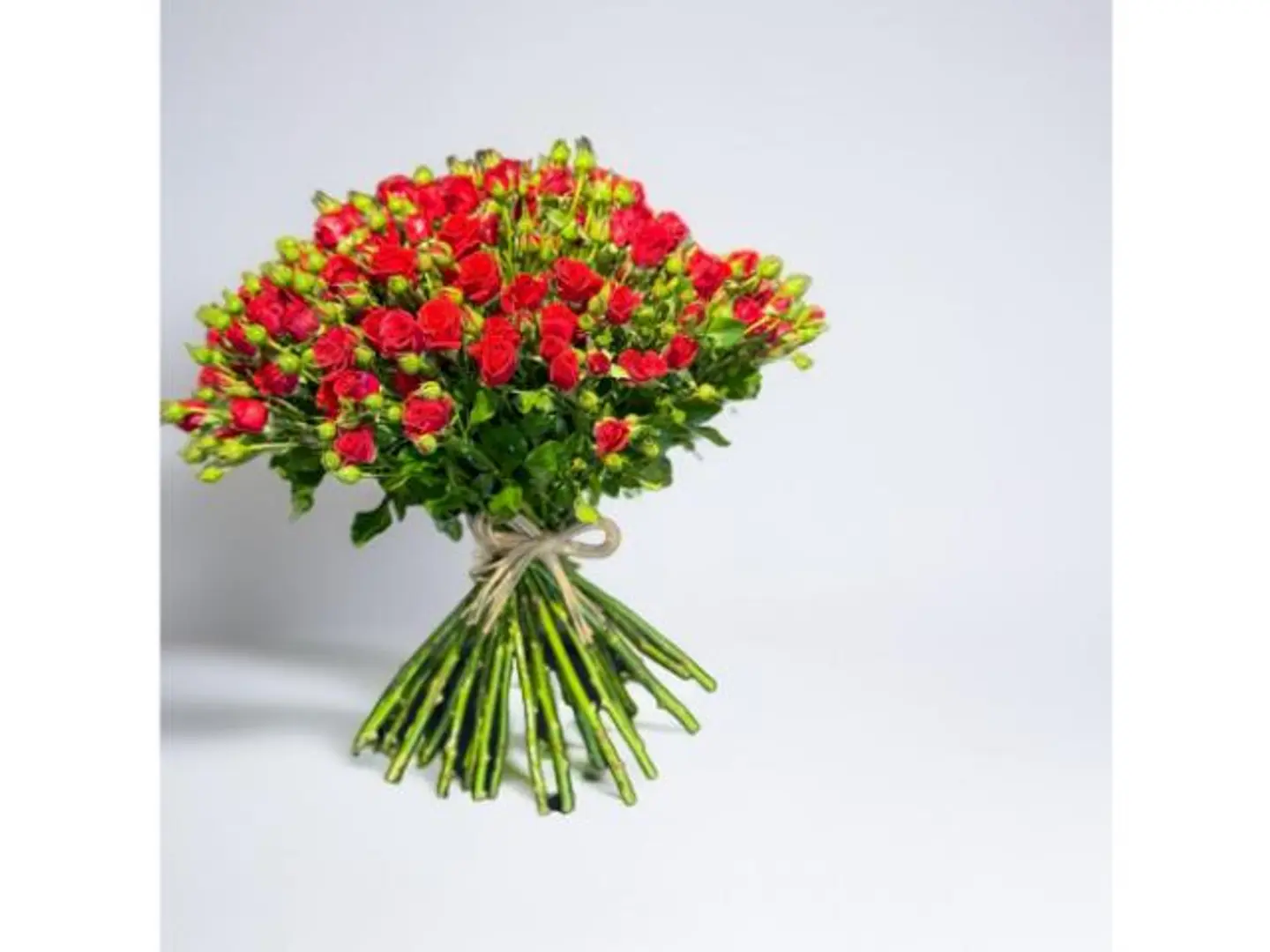 باقة ورد سبري أحمر