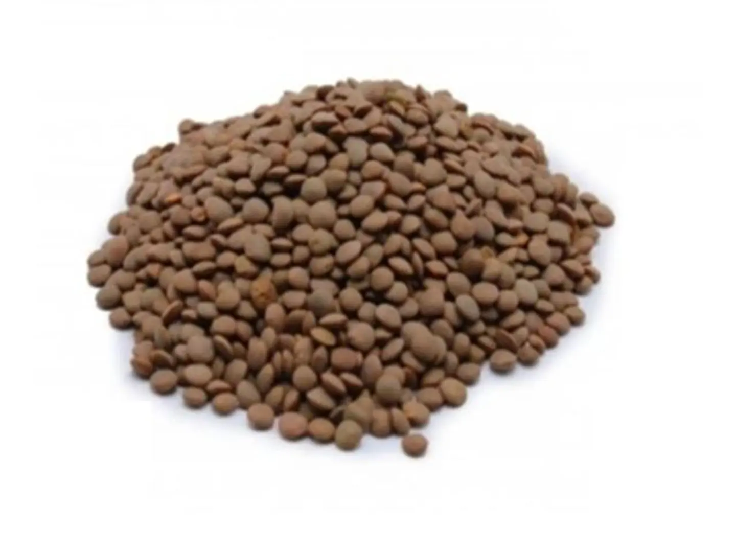 Whole Brown Lentils