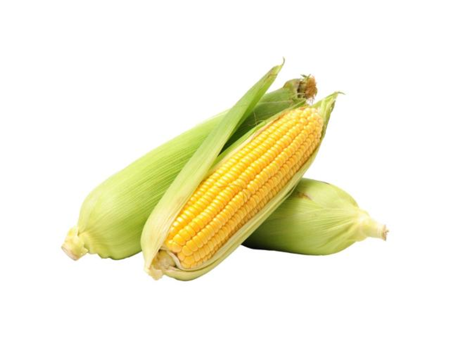 Corn