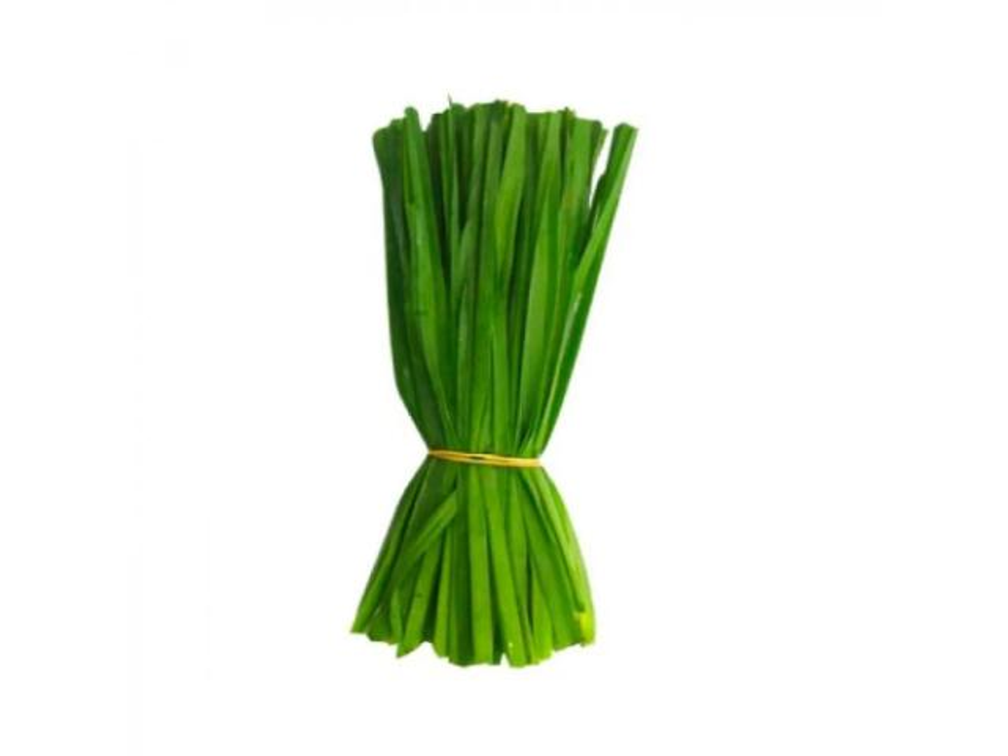 Leek