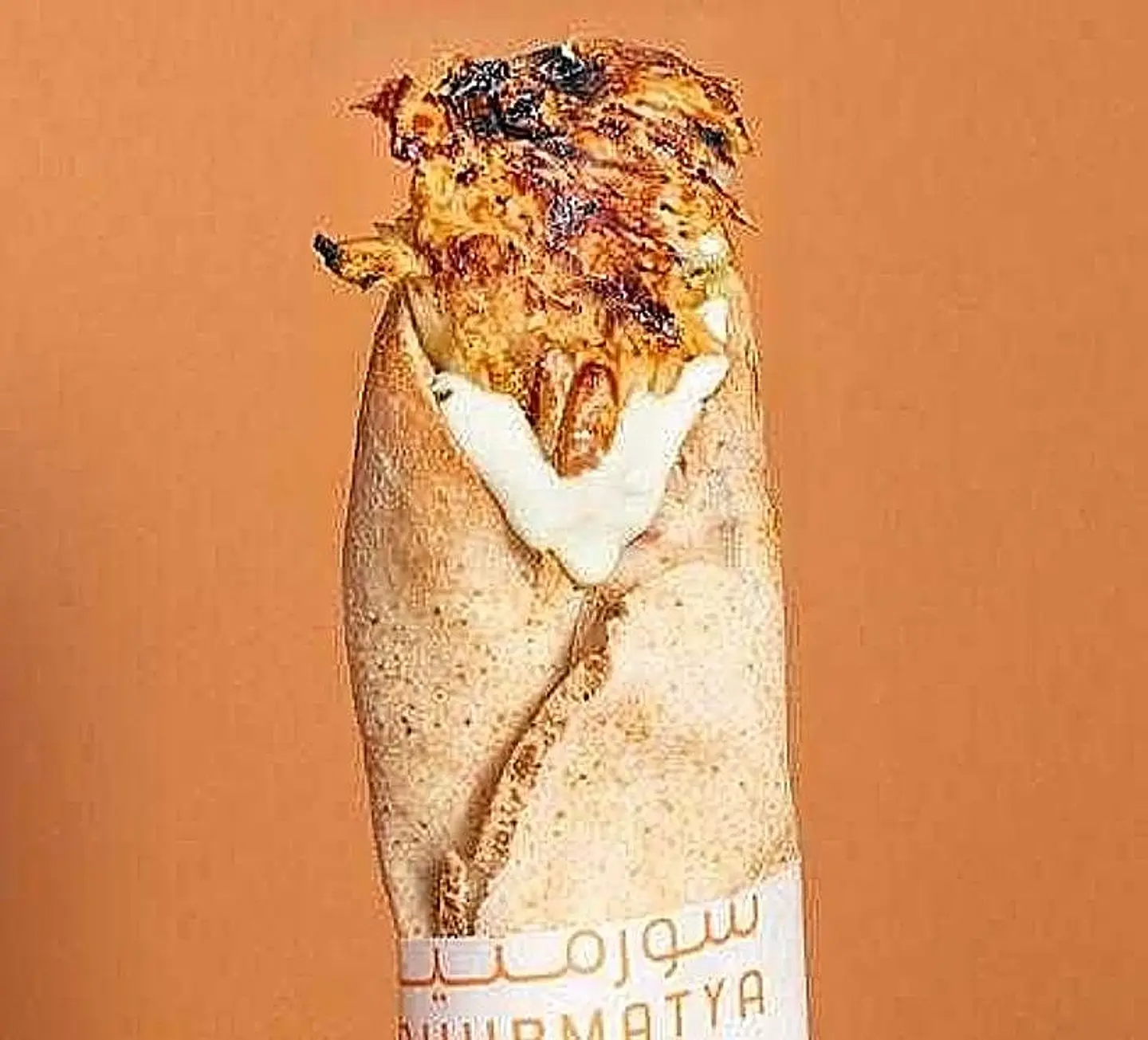 Lebanese Bread Shawarma
