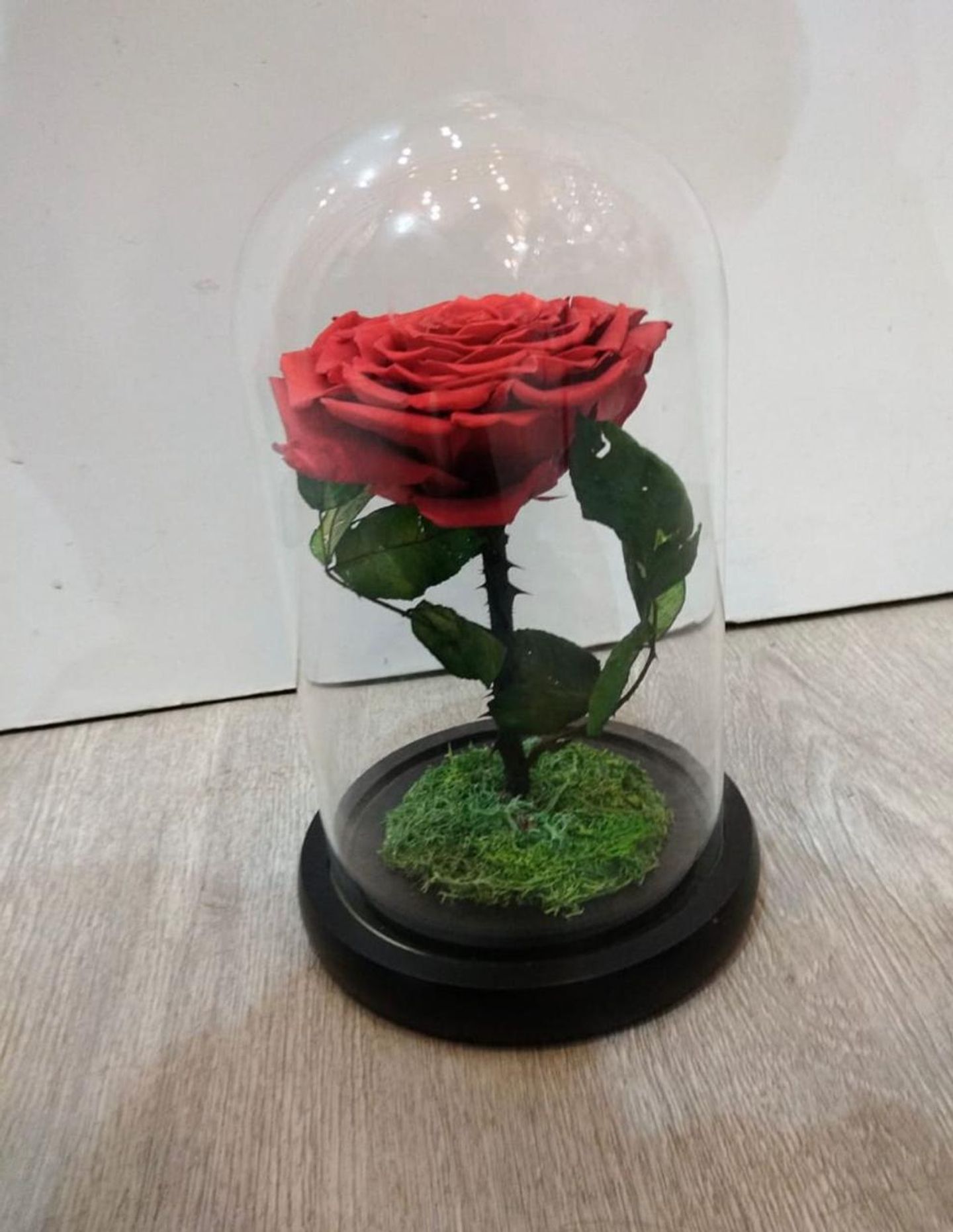 Everlasting Rose