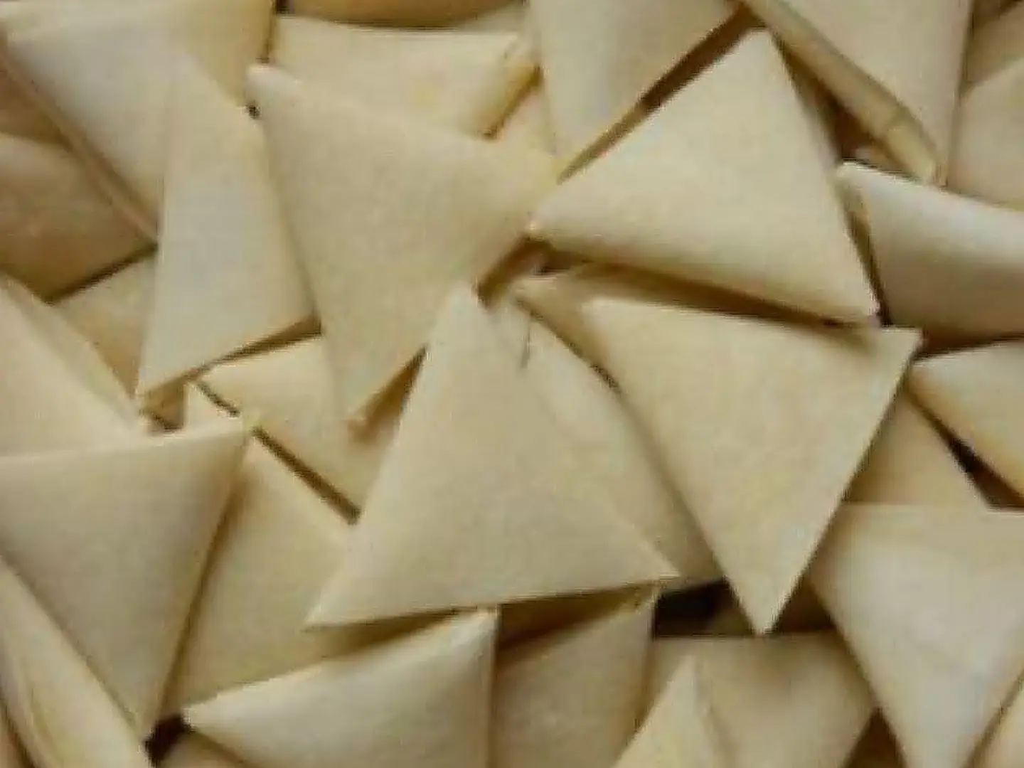 Fresh Meat Samosa