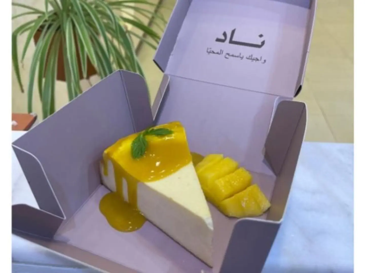 Fresh Mango Cheesecake