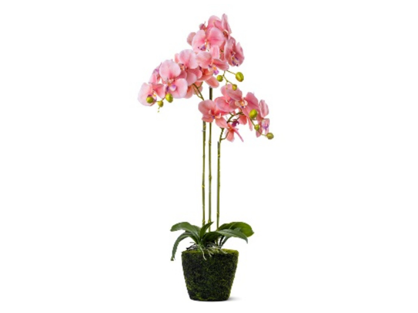 Artificial Orchid Realtouch Pink