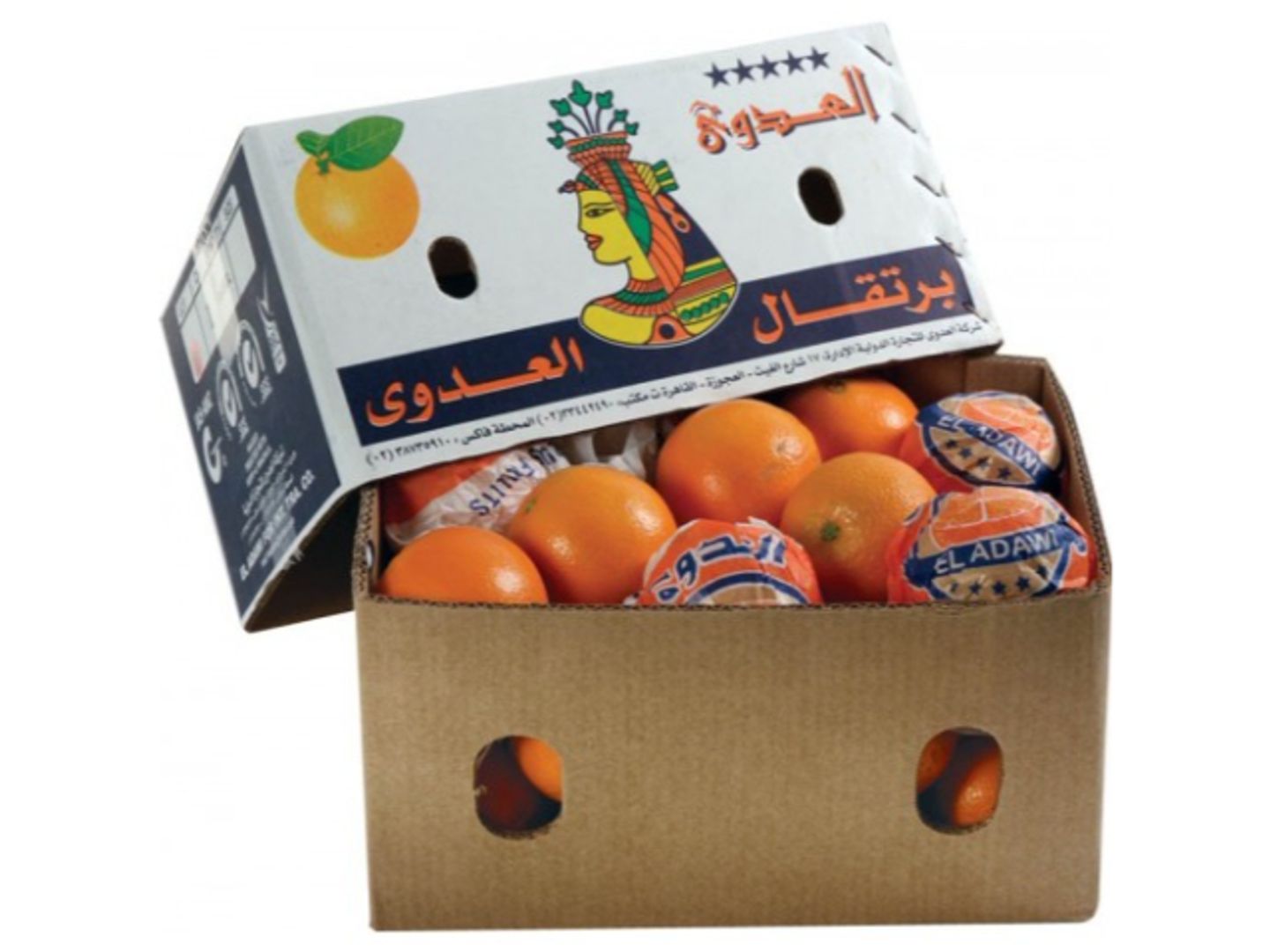 برتقال عصير ألاصيل كرتون