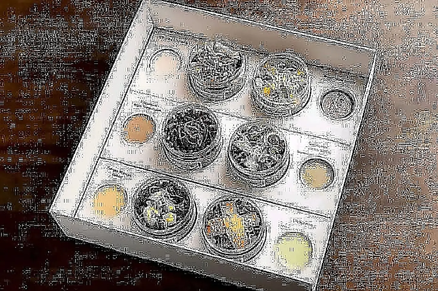 Salad Party Box