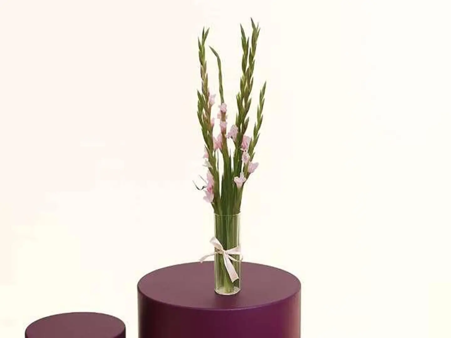 Gladiolus Vase
