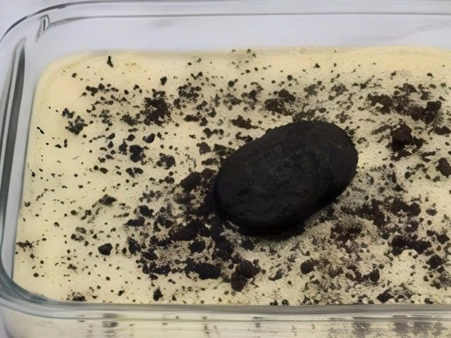 Oreo Dessert