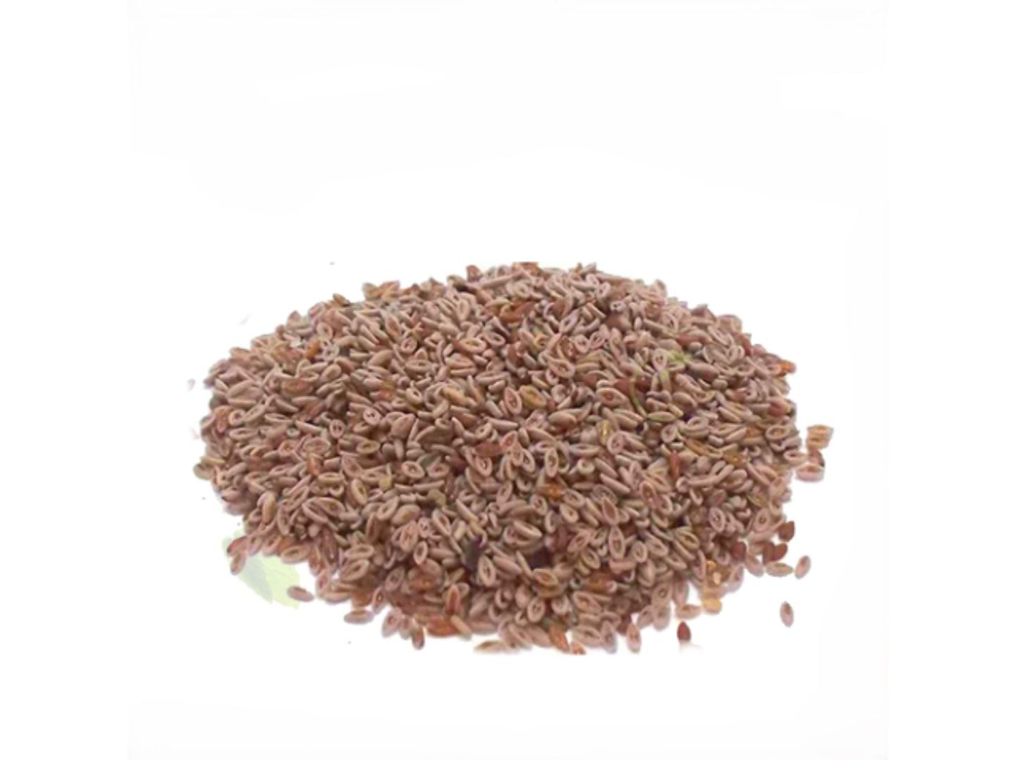 Psyllium Seeds