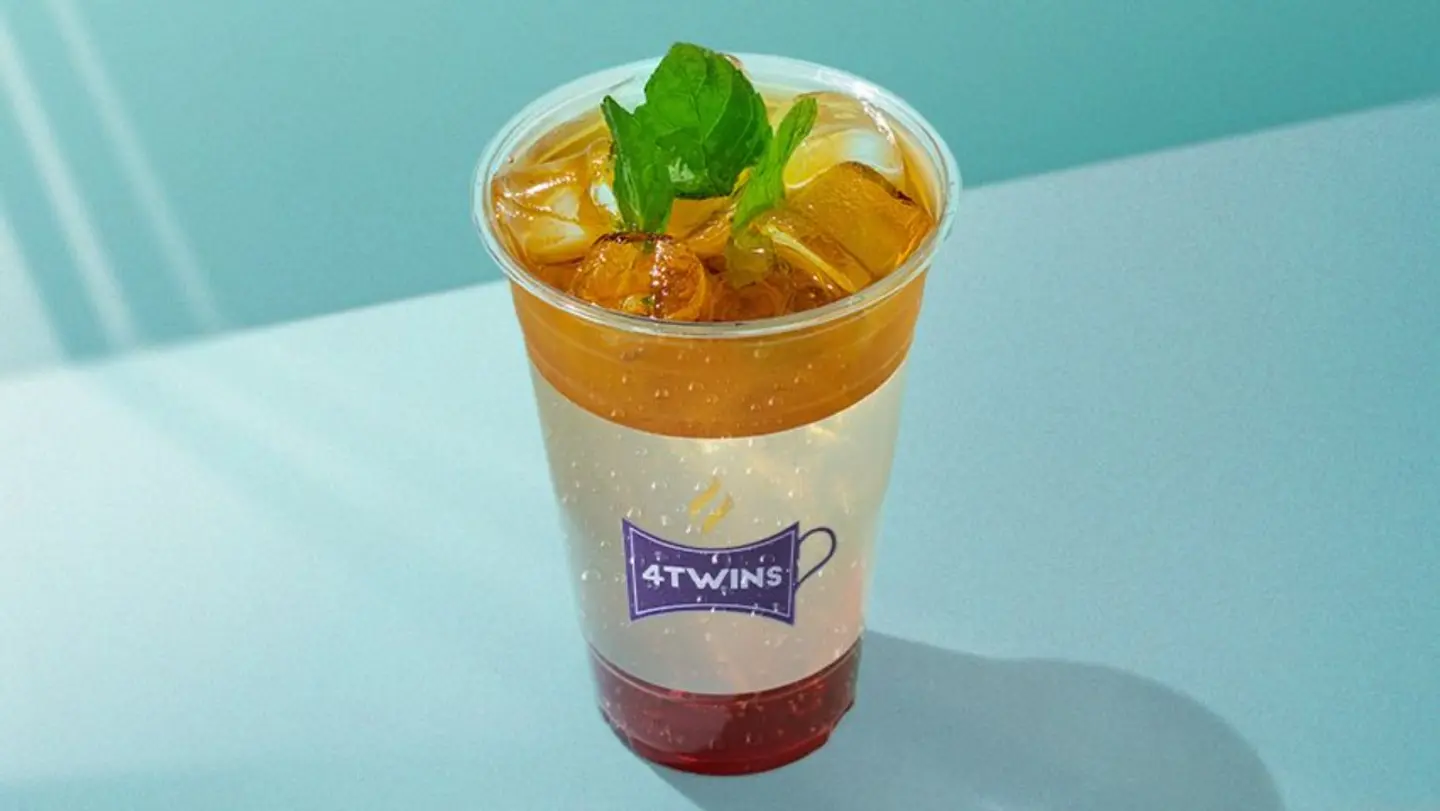 Watermelon Mojito