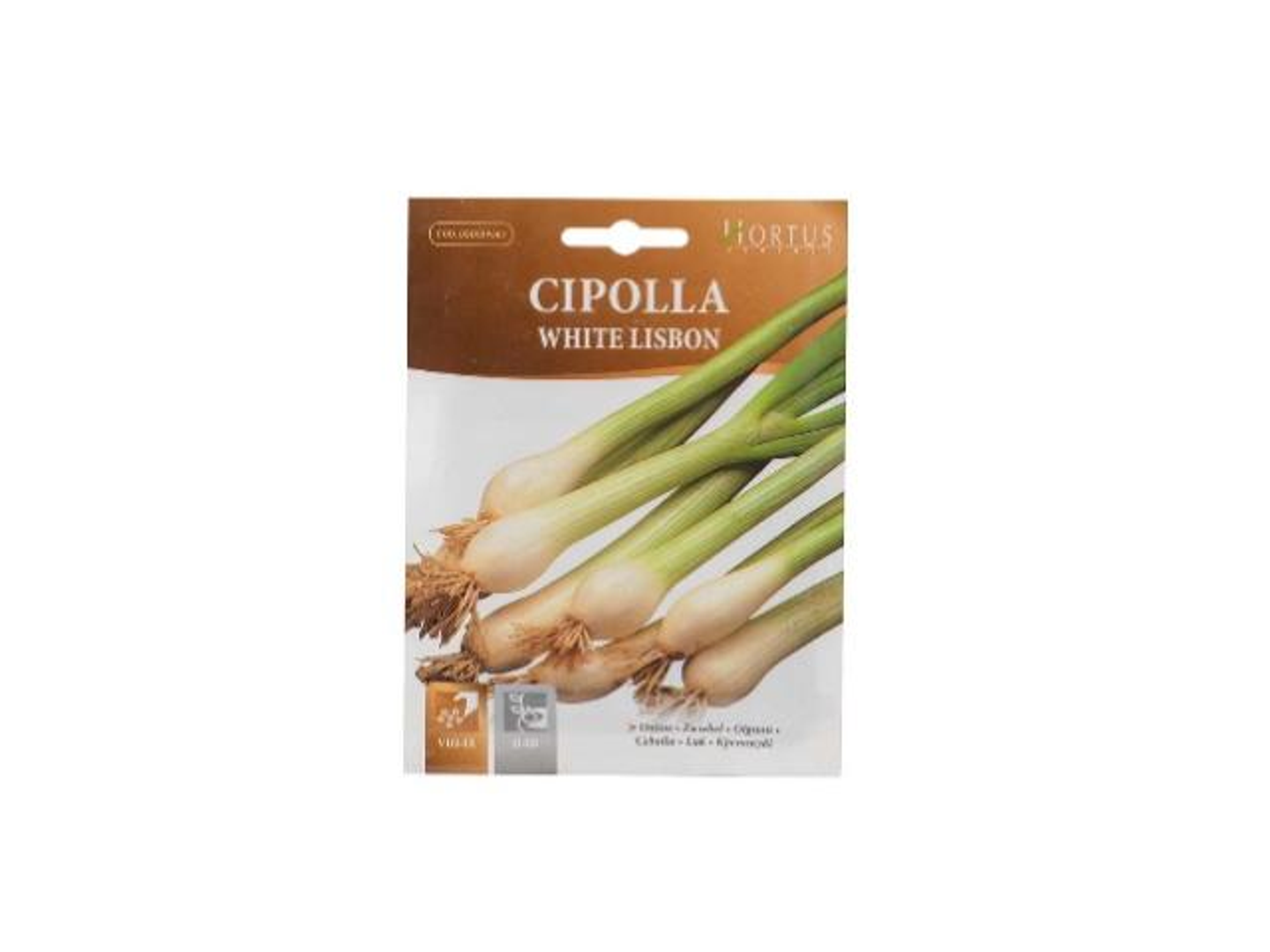 Green Onion Seeds