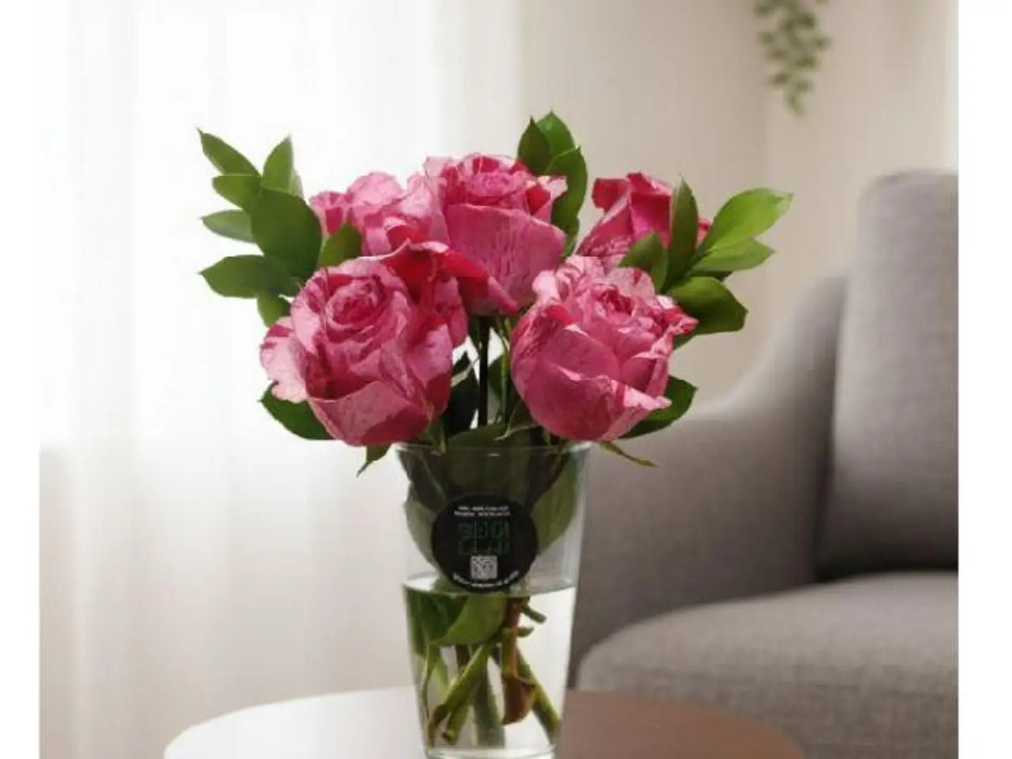 Multi Colour Netherland 417