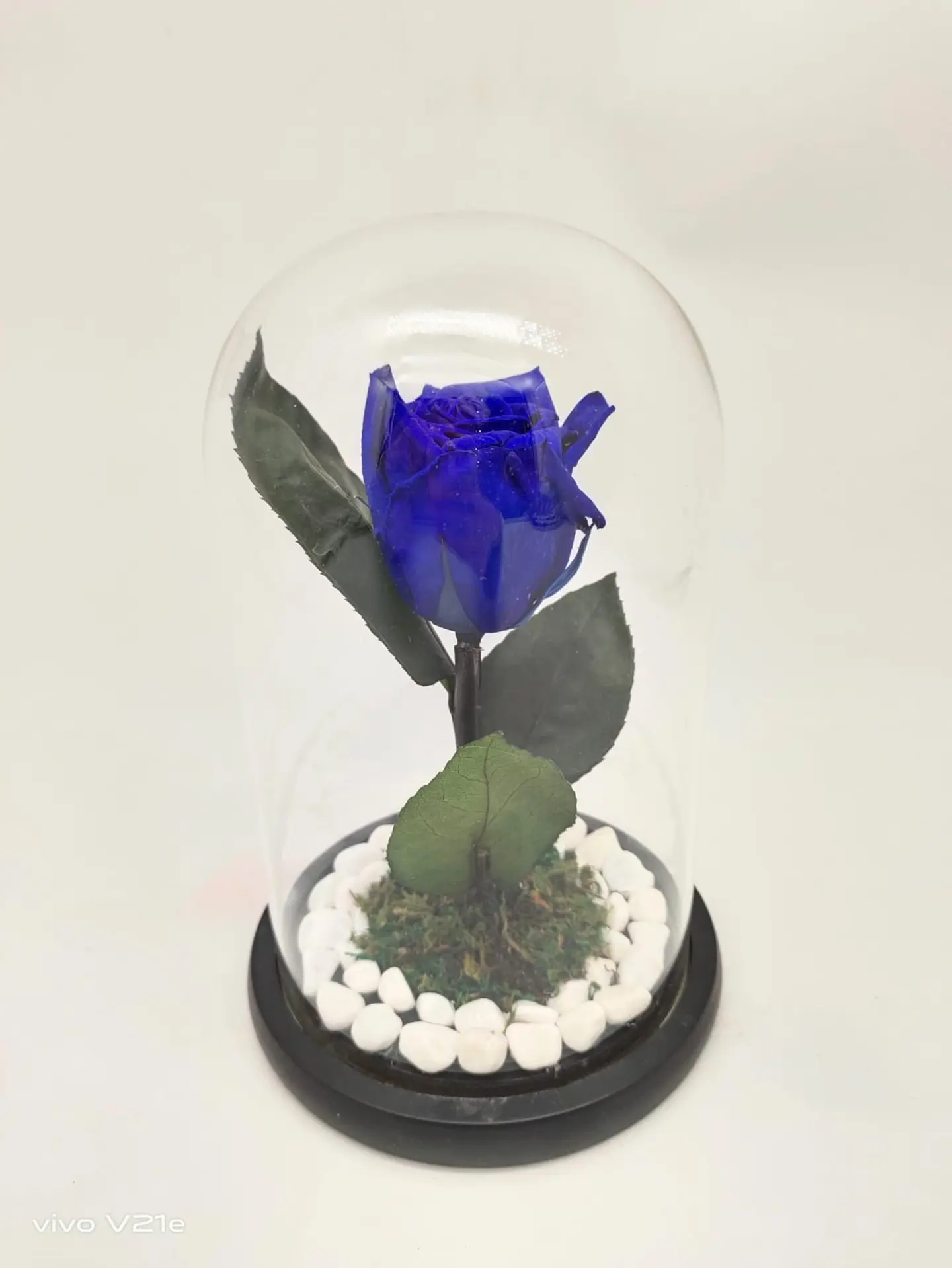 Permanent Natural Roses, Blue 0244