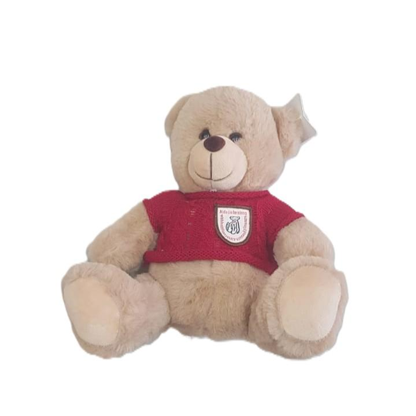 Small Red Teddy Bear