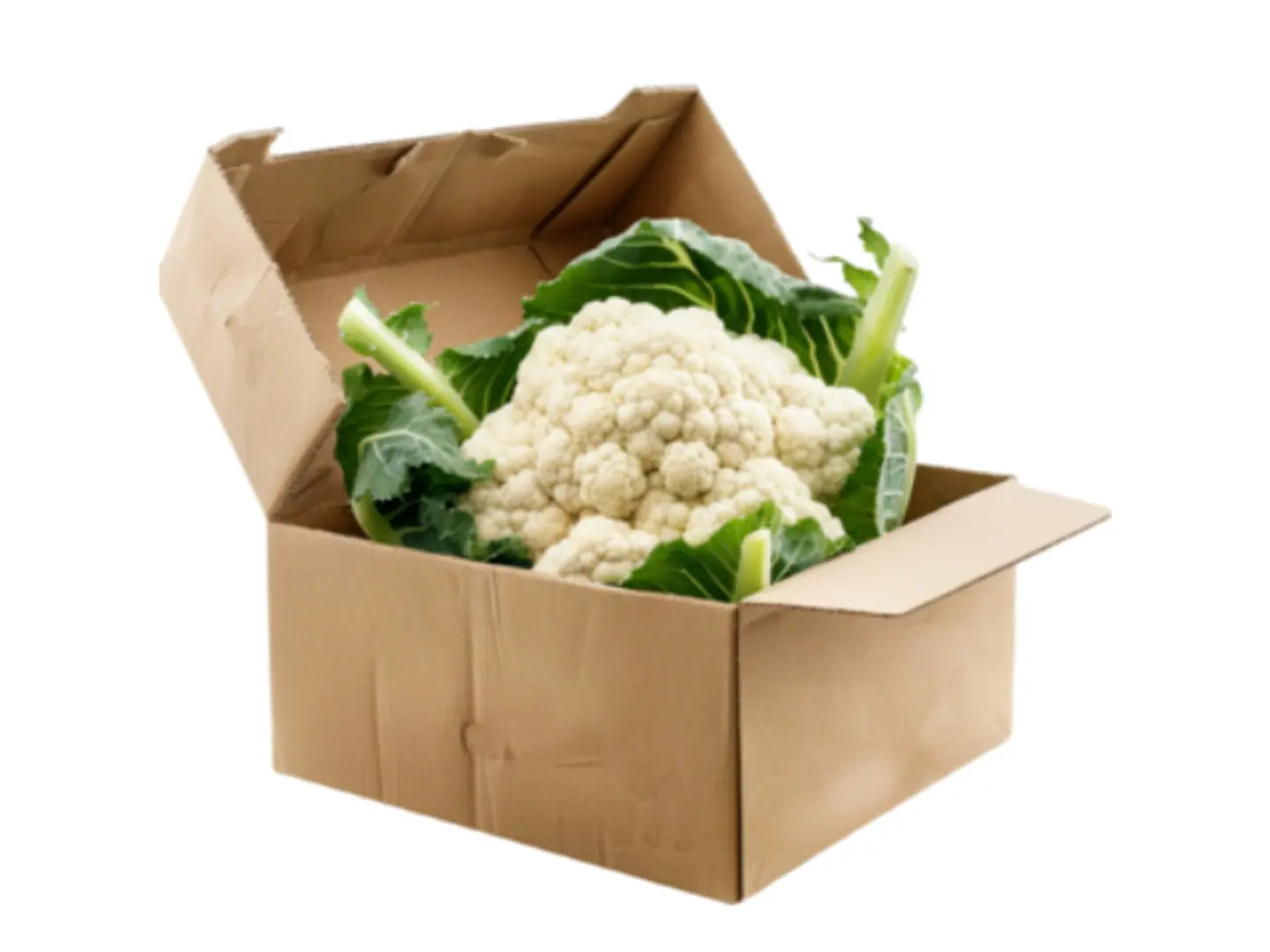 Cauliflower Cartoone