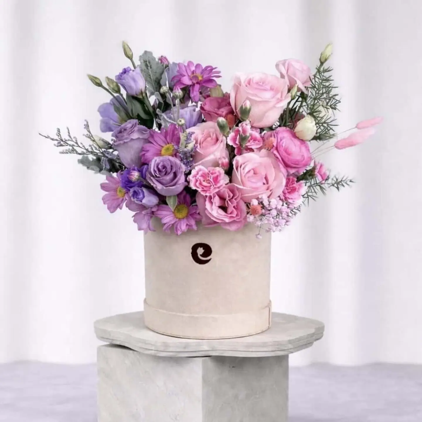 بوكس سافانا