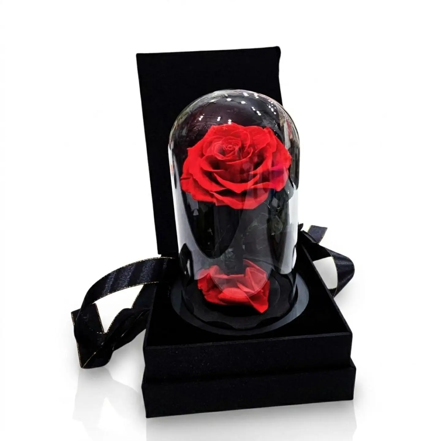 Eternal Rose ( Red )